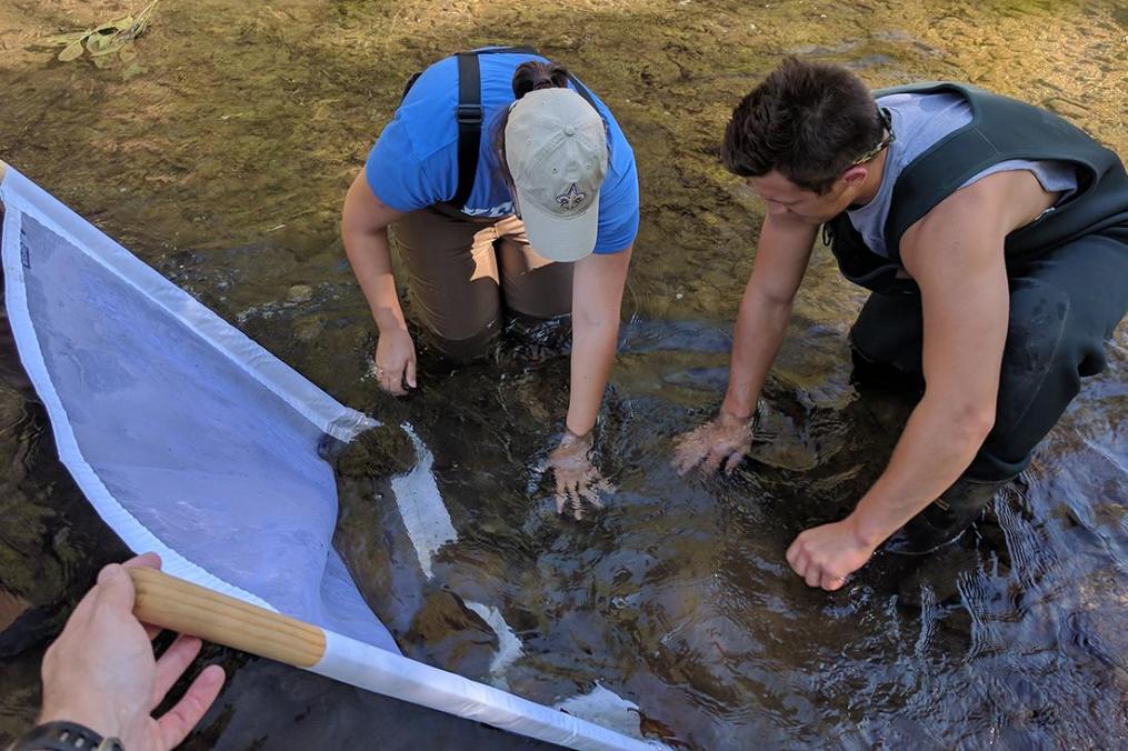 Students dredge in the Keuka Lake watershed